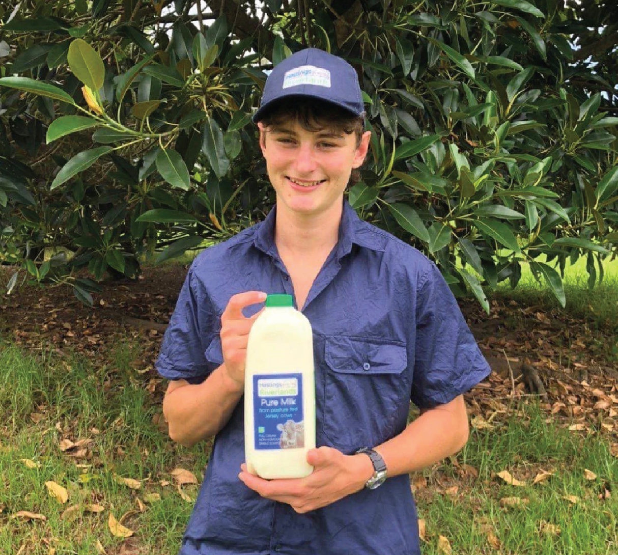 Pure Milk - 2L plastic bottles - Chemical Free *Non Certified - Hastings Riverlands - Locally Sourced