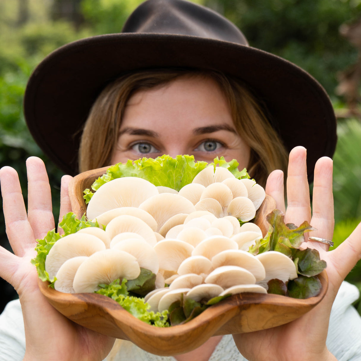 Oyster Mushrooms - 150g - Locally Sourced - (Macwood Mushroom co - Hannam Vale)