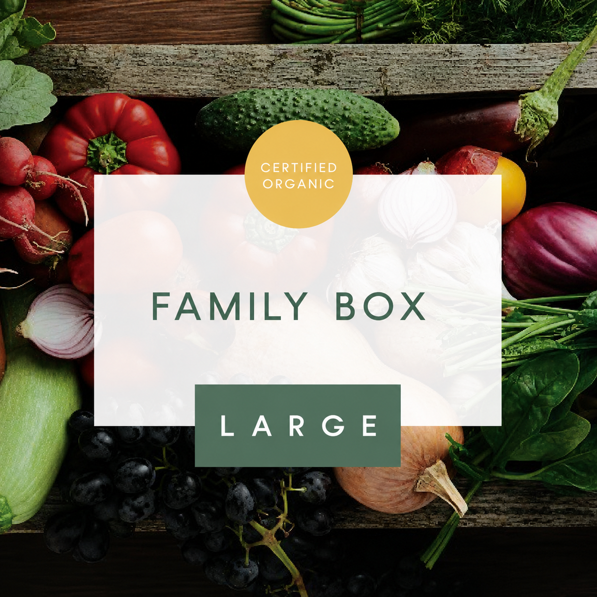 Family Box - Large