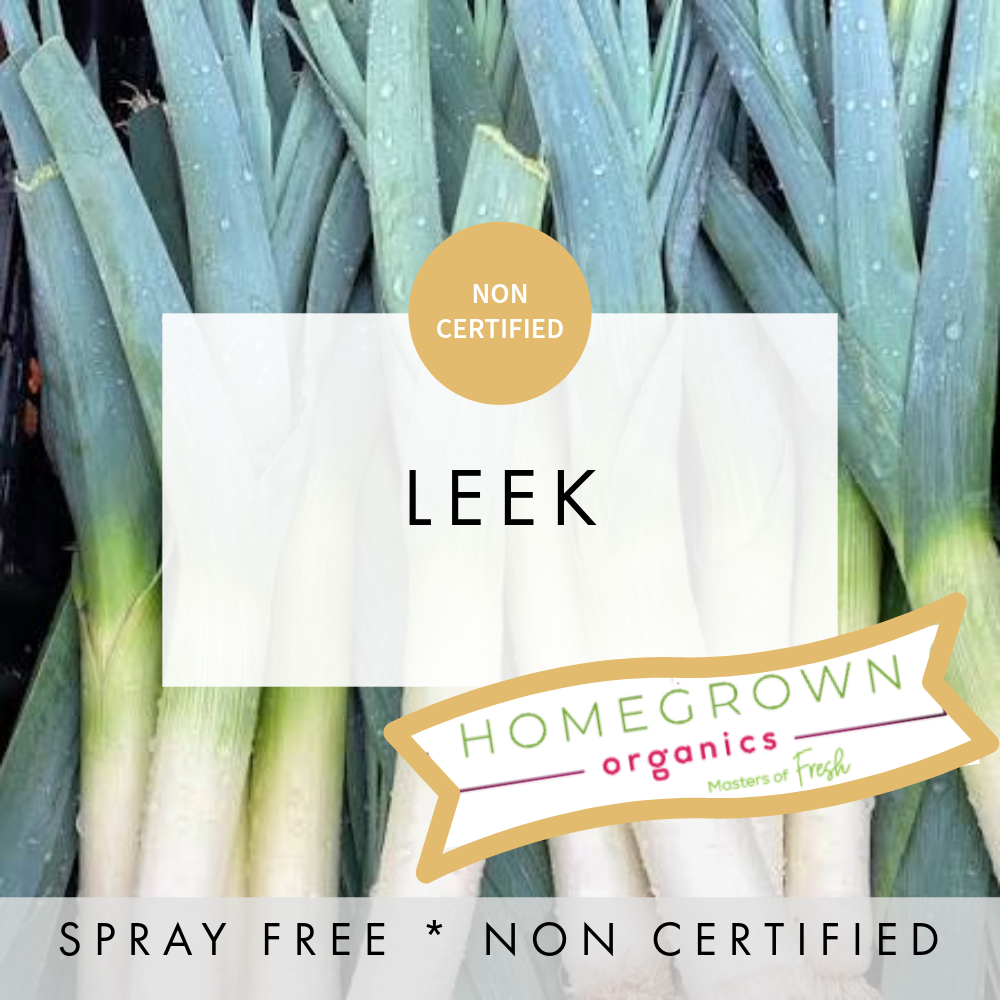 Leek