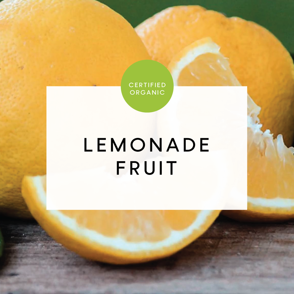 Lemonade Fruit - Each - (Locally Sourced Doraville Organics)