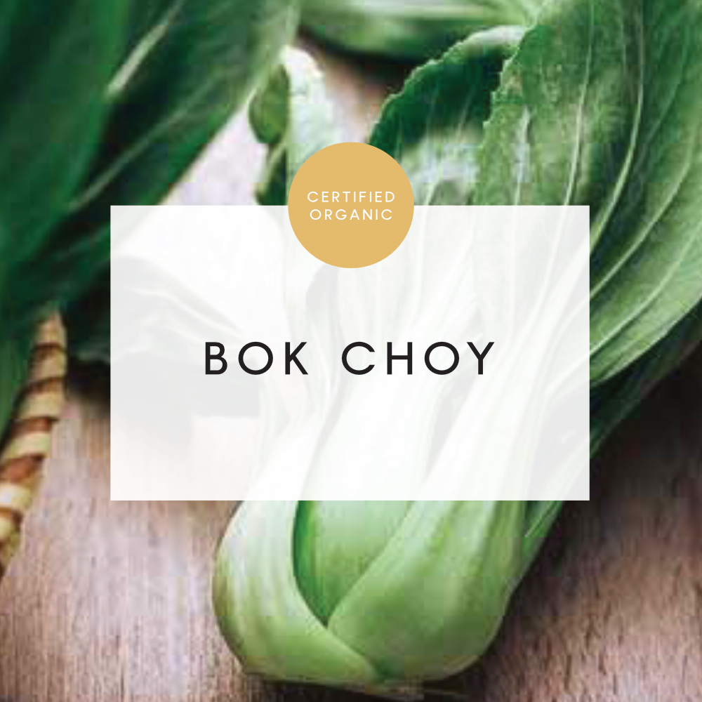 Baby Bok Choy Bunch - (Galea Farm)