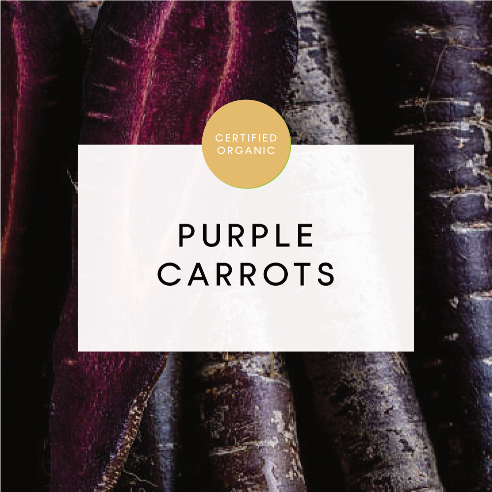 Carrots Purple - 500g - (Phil Bauer Farm - QLD)