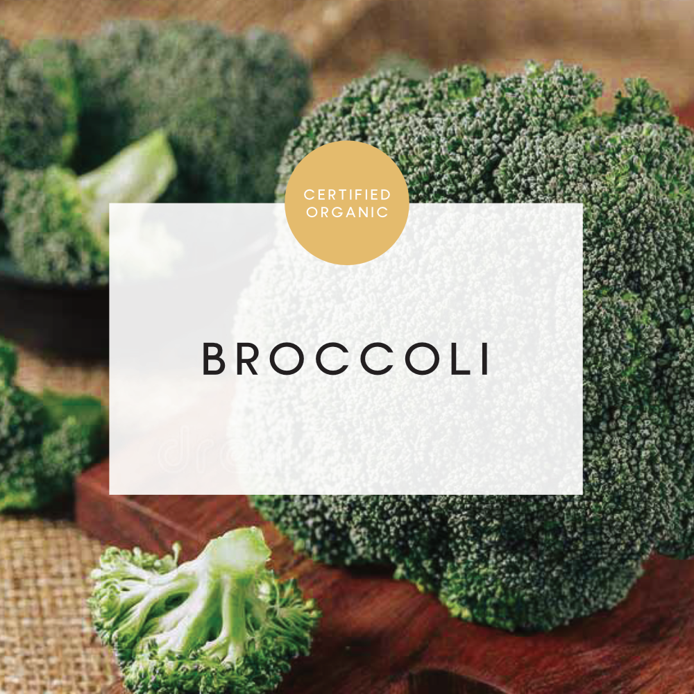 Broccoli Head - LIMITED - 350g - (Bio Farms - TAS)