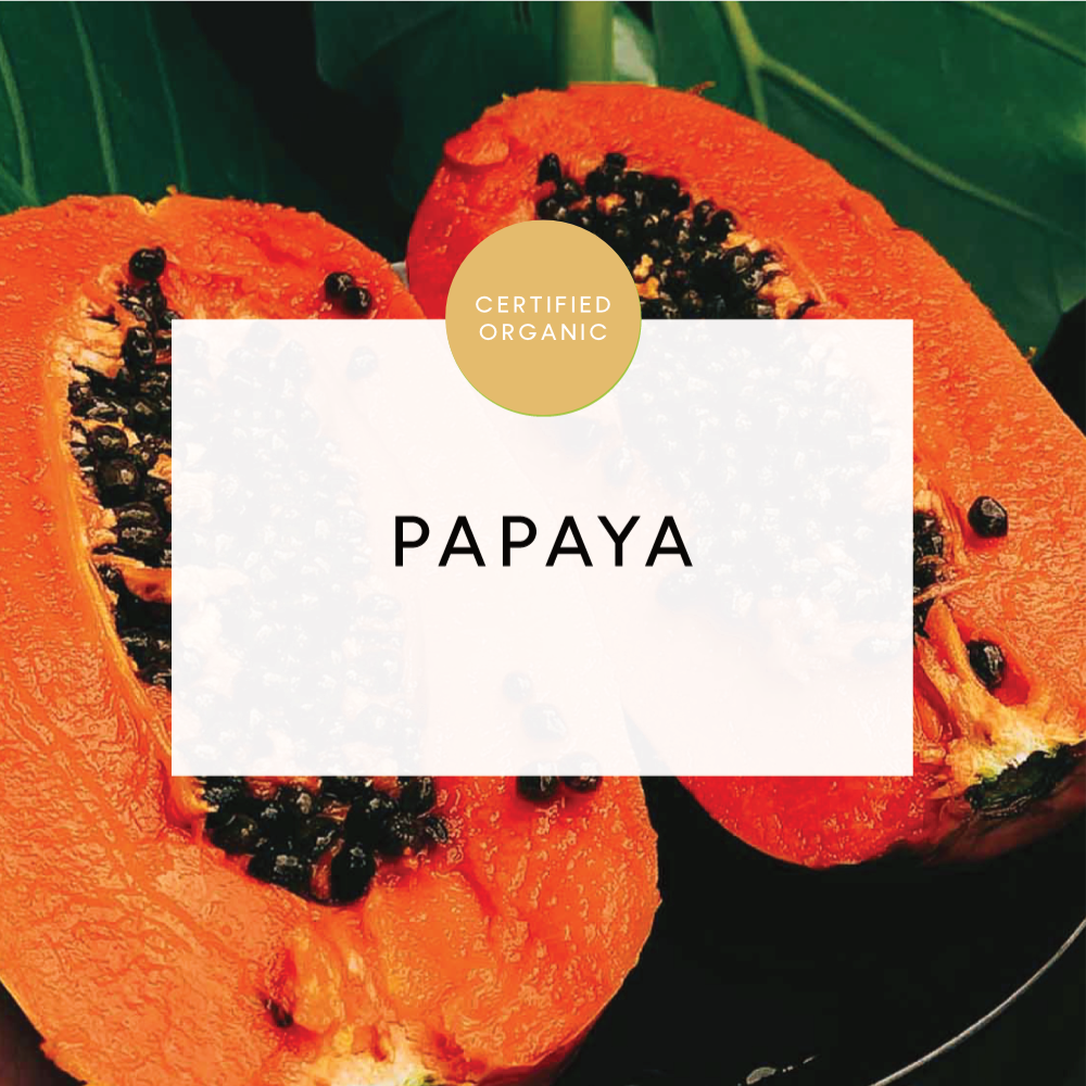 Papaya