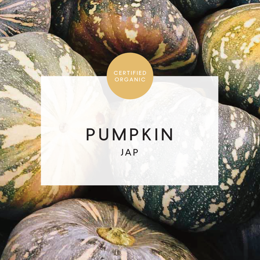 Pumpkin Jap - approx 800g - (Whitestone Farm - QLD)