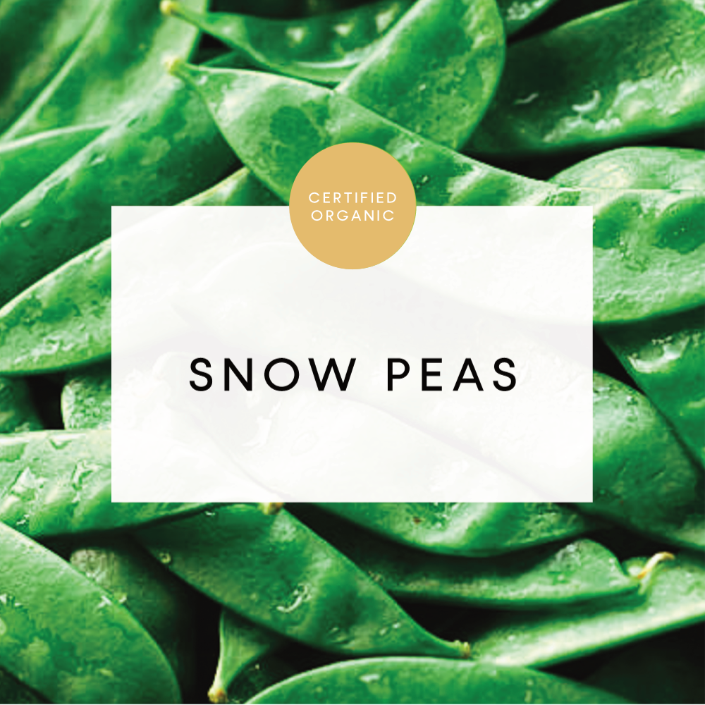 Snow Peas - 175g - (Isis River/Coochin Hill)