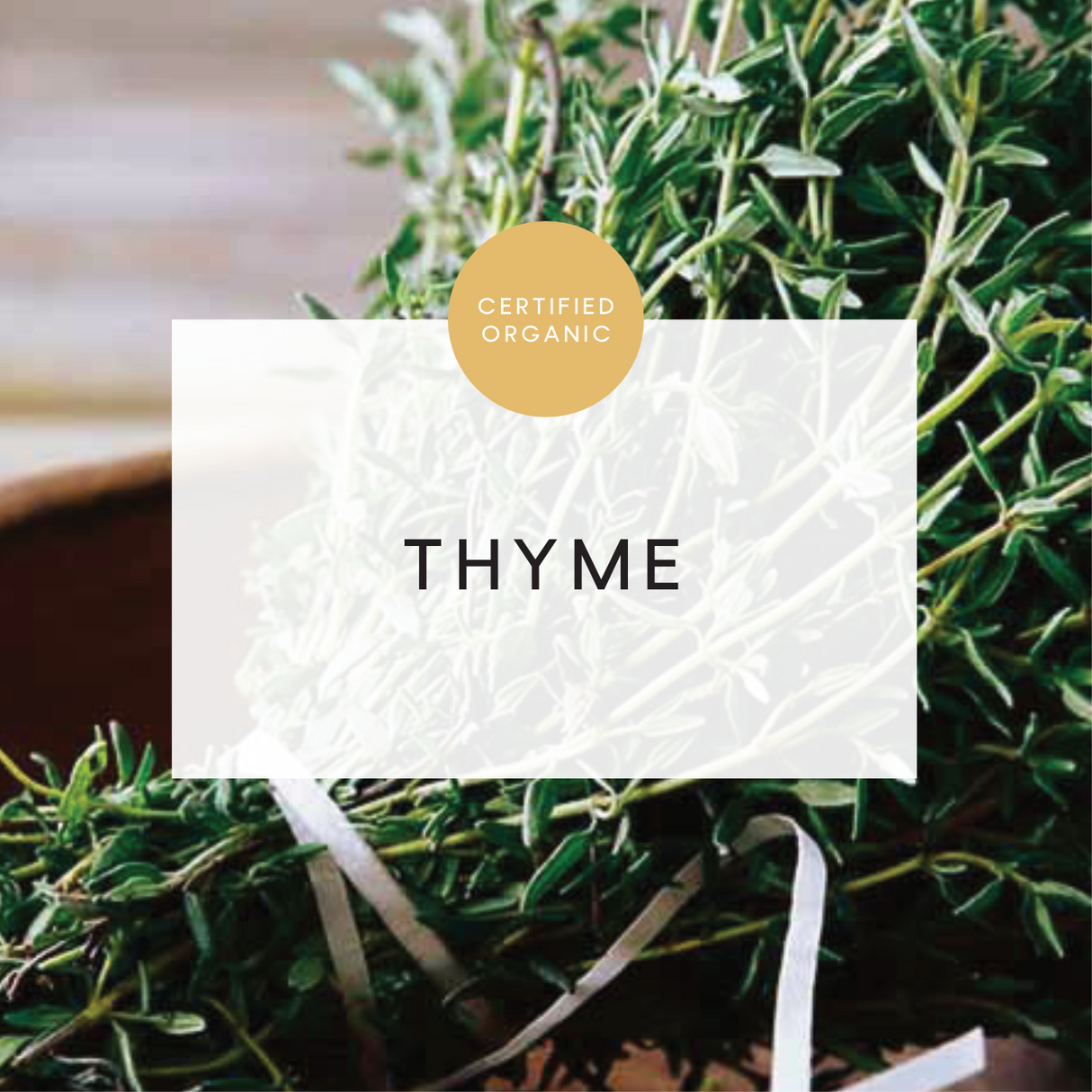 Thyme Bunch - (Coolibah Farm - VIC)