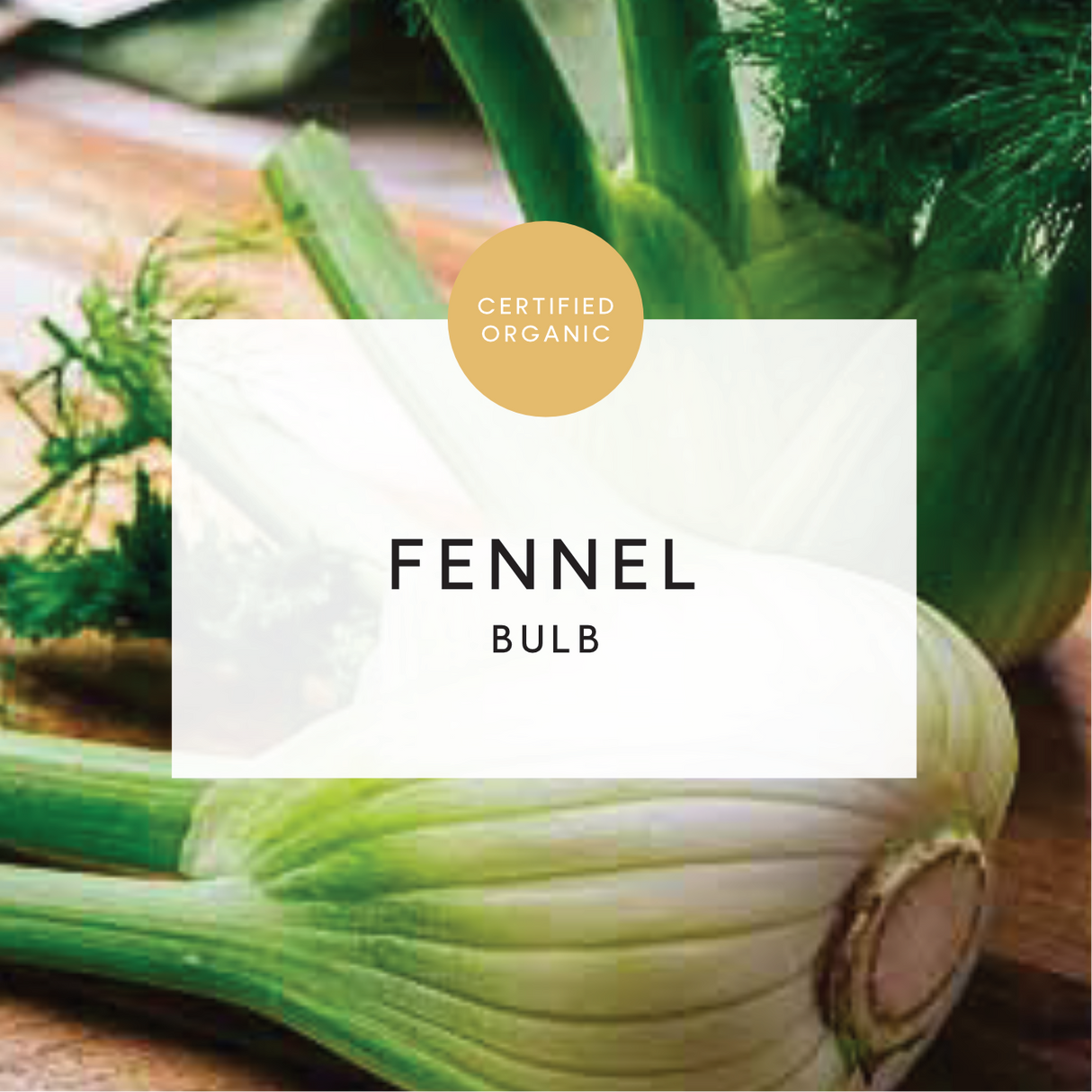 Fennel - (Galea Farm)