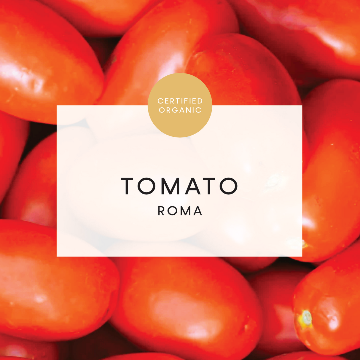 Tomato - Roma