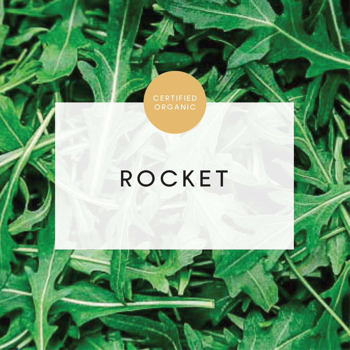 Rocket Wild - Coolibah 100g