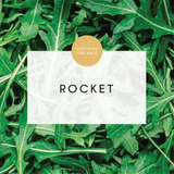 Rocket Wild