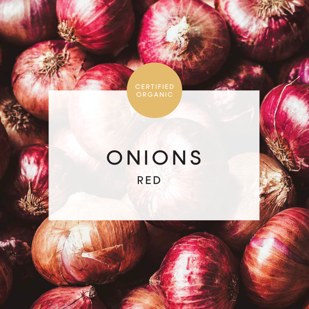 Onion Red 500g - (Whitestones Farm - QLD)
