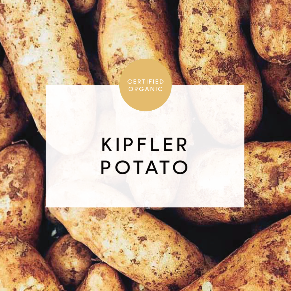 Potato Kipfler 500g - (BioFarms - TAS)