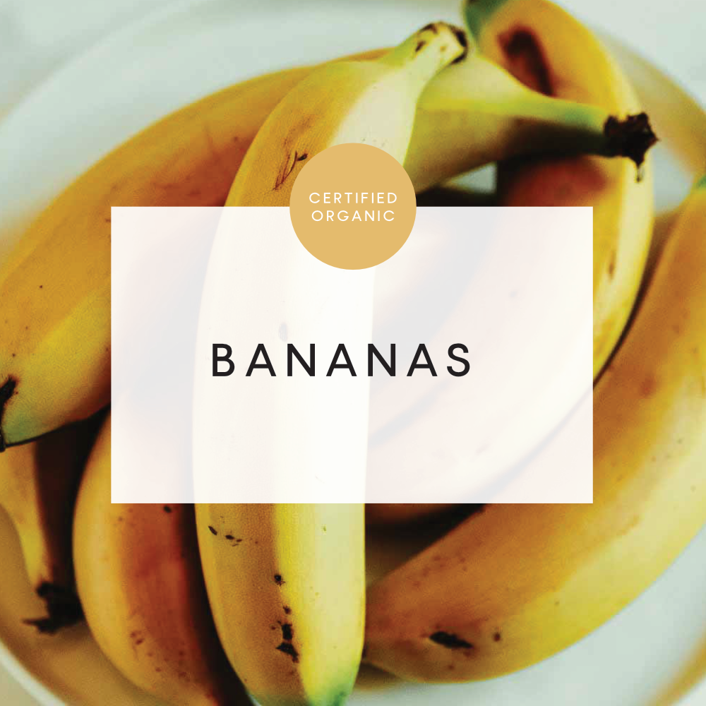 Bananas - (Baston Farm - QLD)