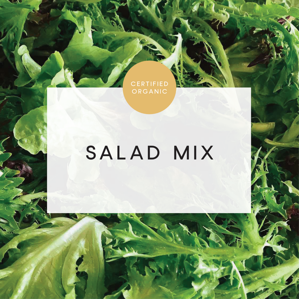 Salad Mix 100g - (Coolibah Farm - VIC)