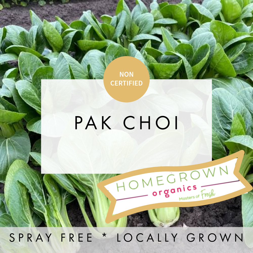 Pak Choi