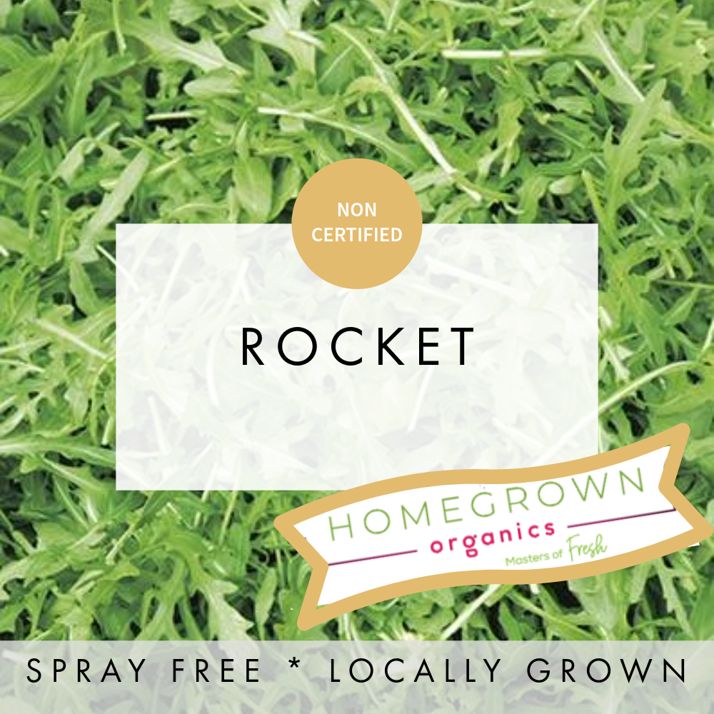 Rocket Wild