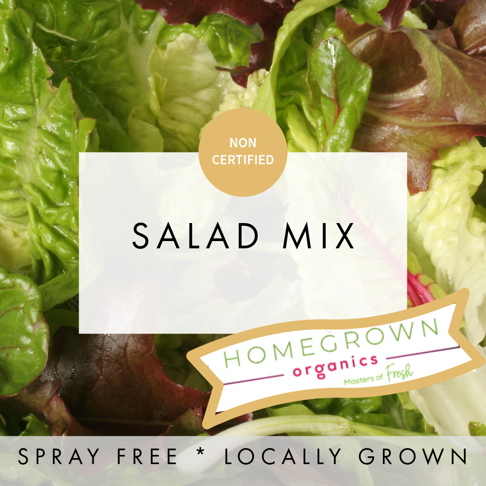 Salad Mix