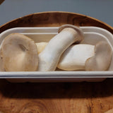 King Oyster Mushrooms - 200g - Locally Sourced - (Macwood Mushroom co - Hannam Vale)