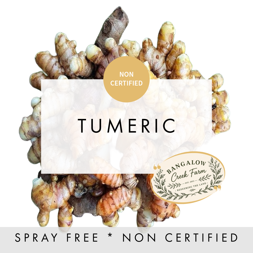 Turmeric
