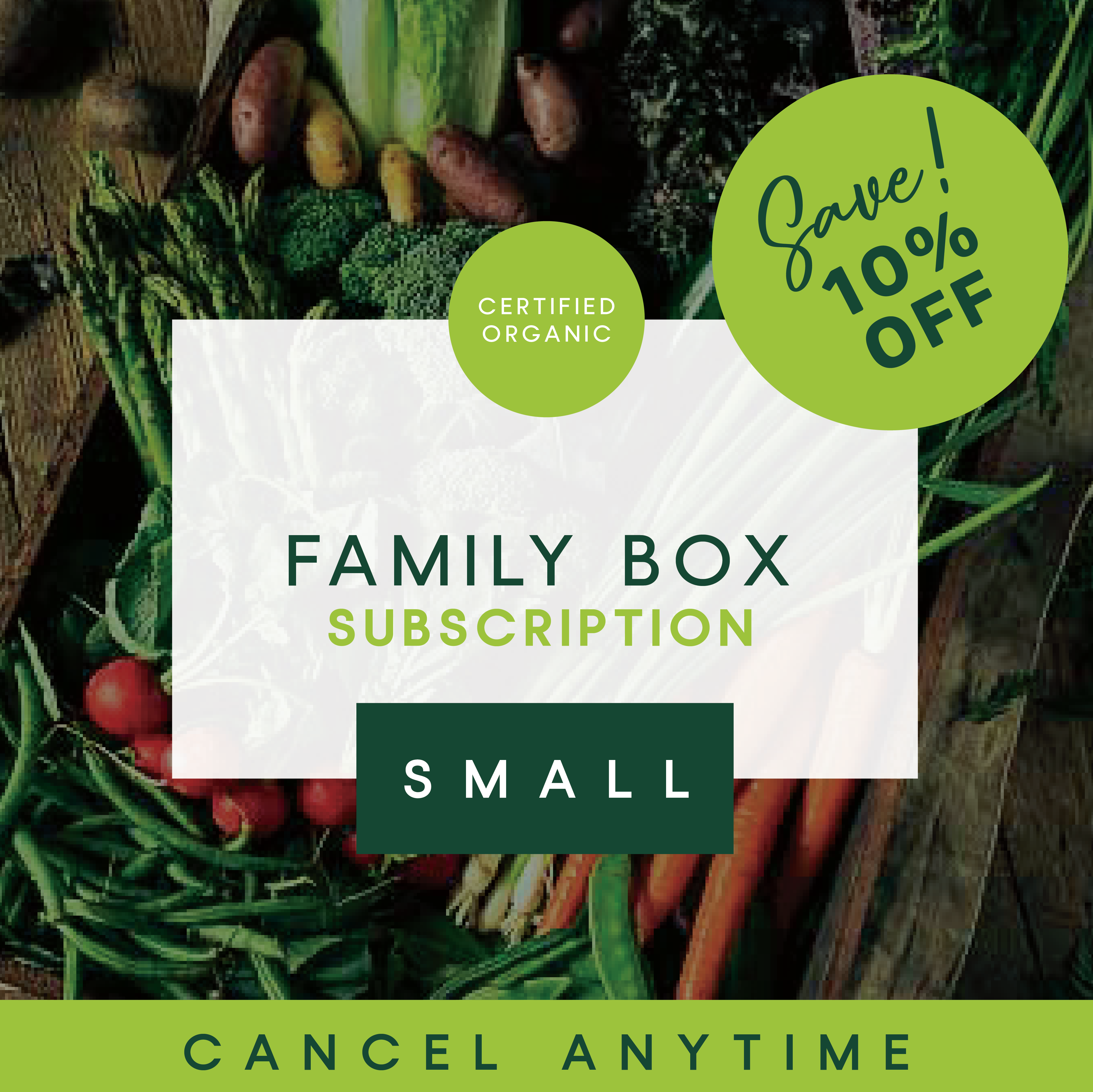 Family monthly subscription boxes cheap