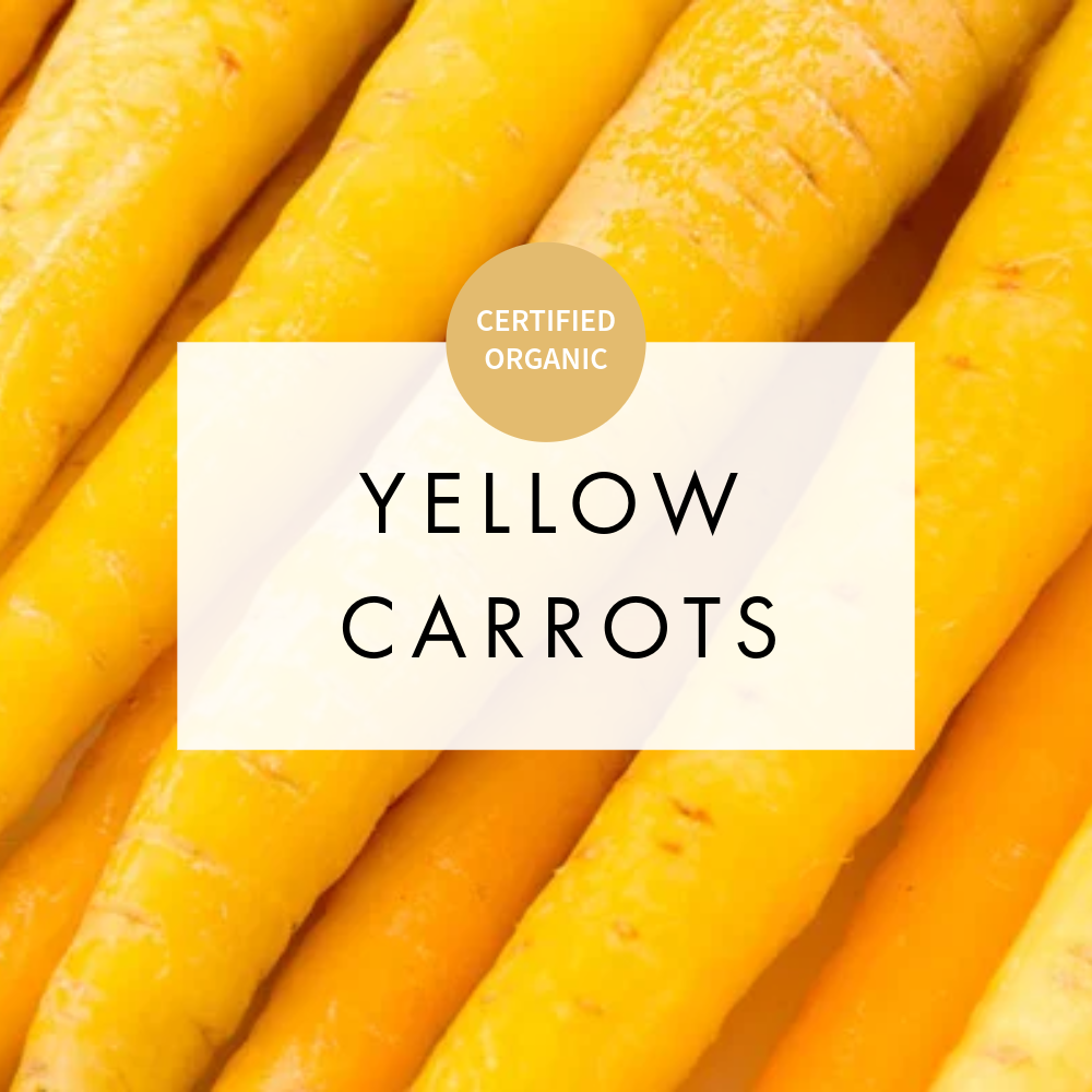Carrots Yellow