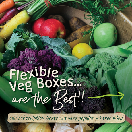 Family Box - Small - Subscription