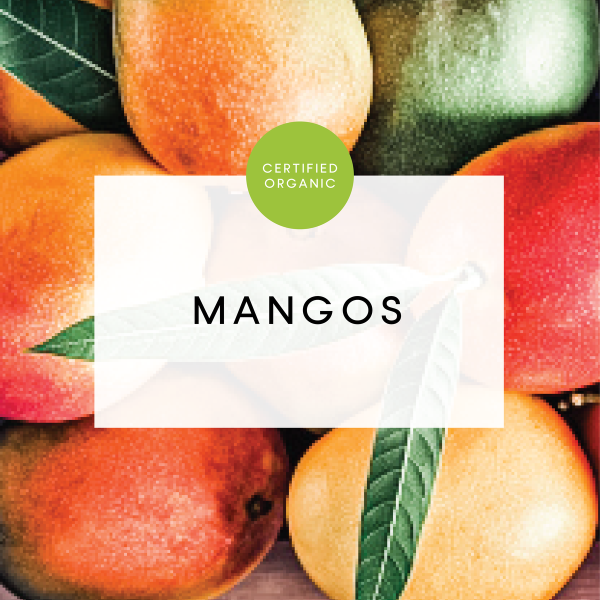 Mango