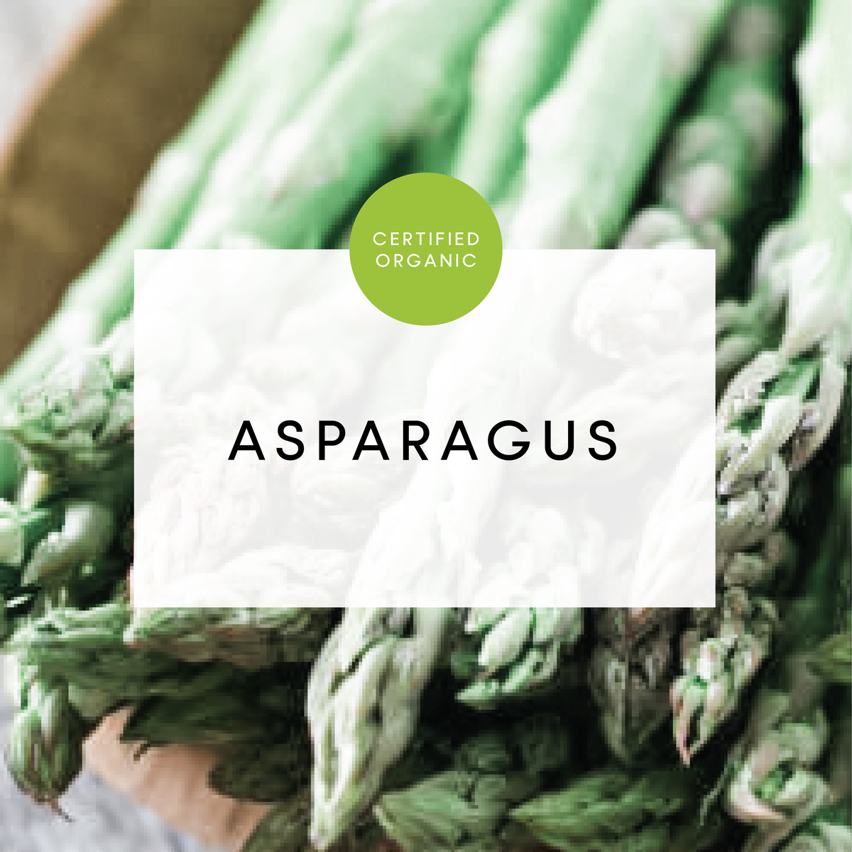 Asparagus Bunch