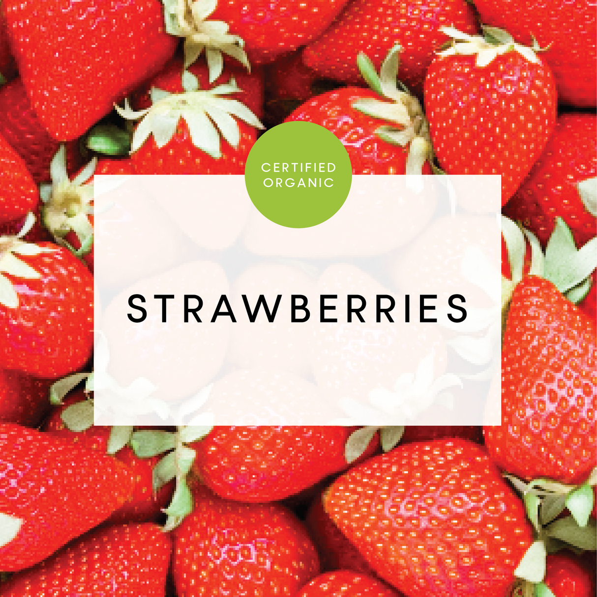 Strawberry Punnet 250g - (Ashburn Farm)