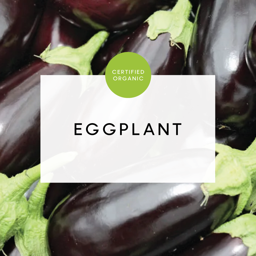 Eggplant - Med - (Eldridge Farm - SA)