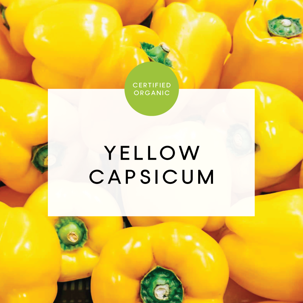 Capsicum Yellow - 300g - (Eldridge Farm - SA)