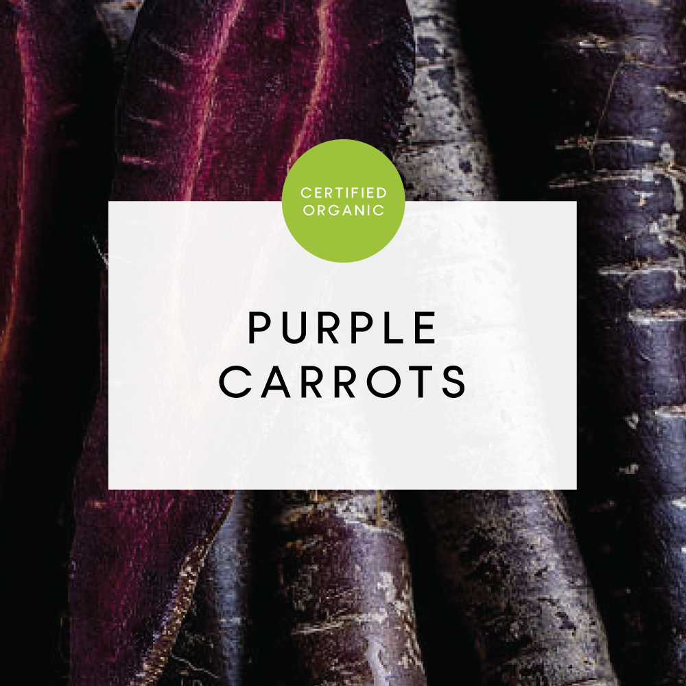 Carrots Purple - 500g - (Phil Bauer Farm - QLD)